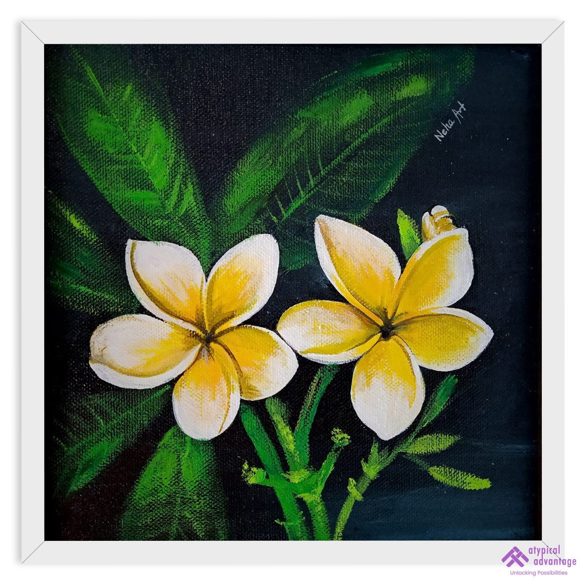 Frangipani