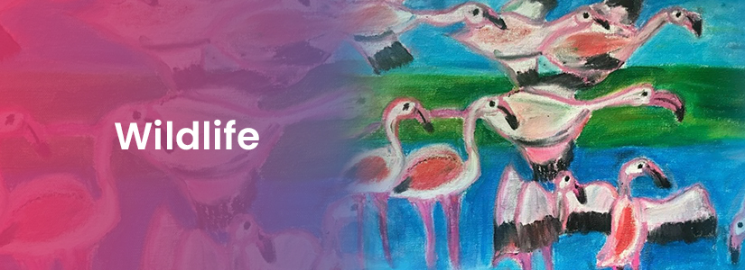 The background of the banner is purple and blue. It has the image of swans on it. The text reads, "Wildlife".