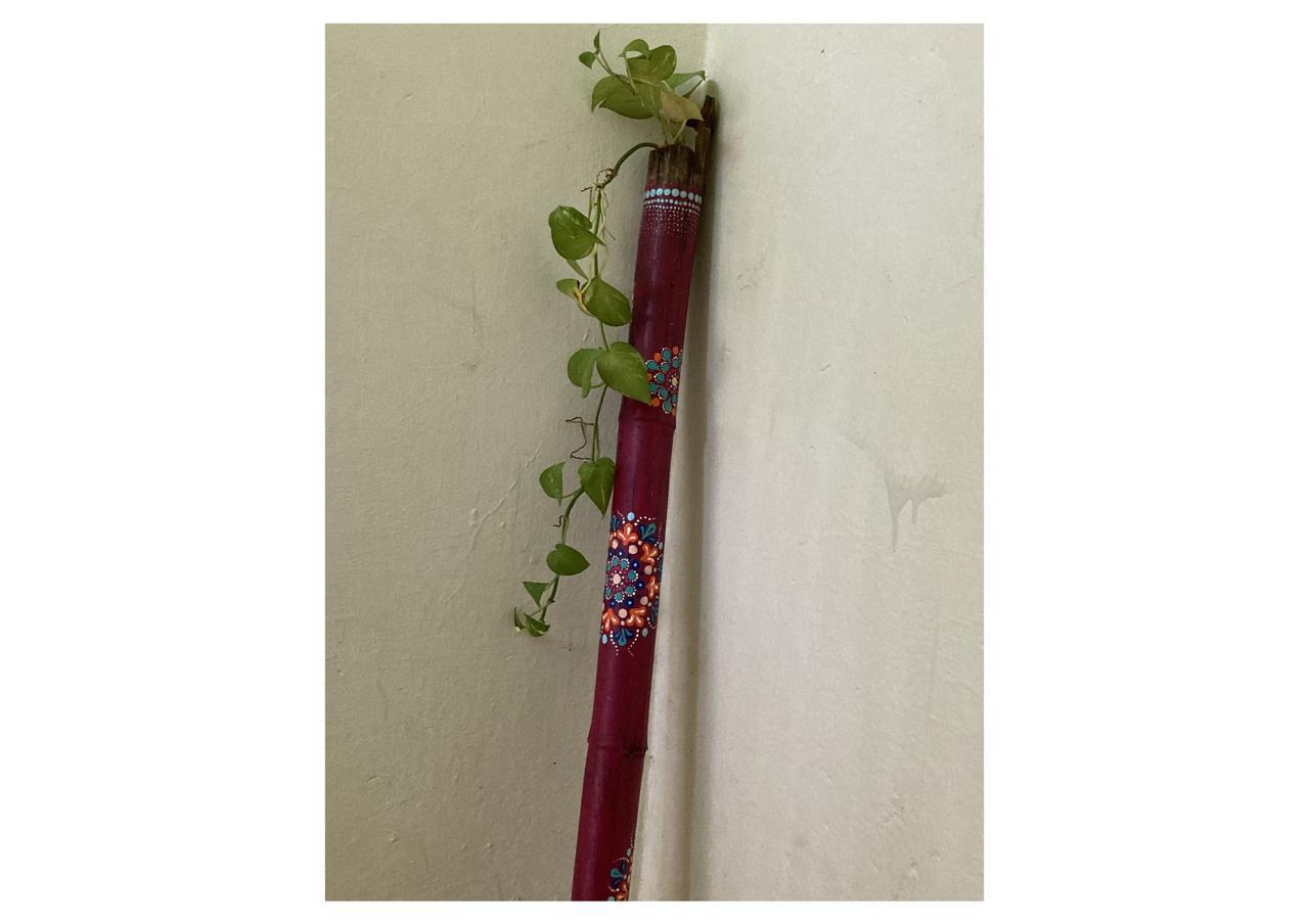 Ashwini S Pic 5, Visual Artists, Atypical Advantage