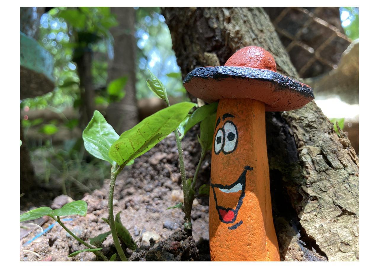 Ashwini S Pic 4, Visual Artists, Atypical Advantage