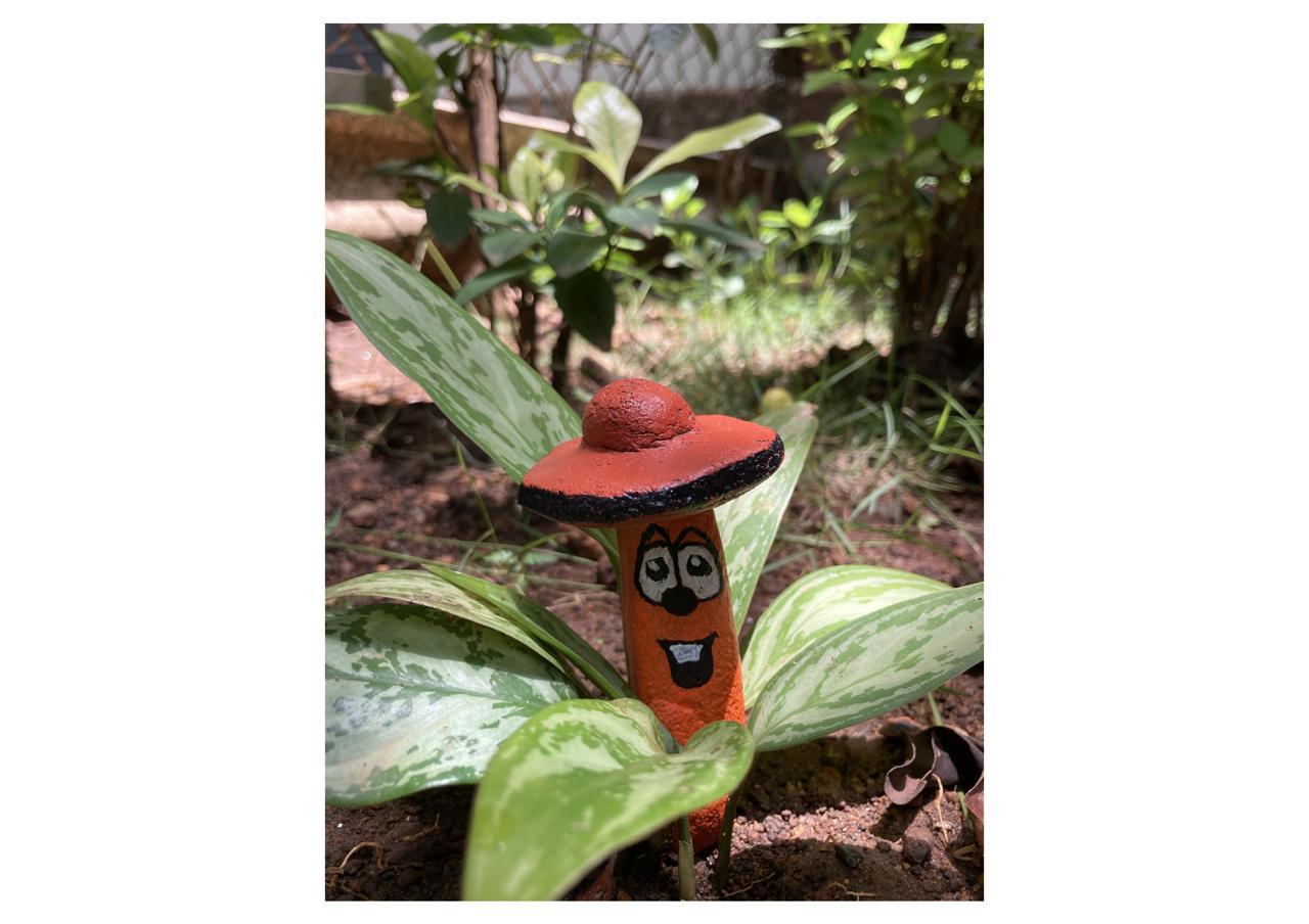 Ashwini S Pic 7, Visual Artists, Atypical Advantage